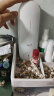 德尔玛（Deerma） 空气清新加香机 自动喷香机 卫生间香薰除臭除异味扩香机加香器 家用办公清新机PX830 实拍图