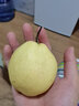 京鲜生 天山雪梨  净重5斤装 单果200起  精选雪梨 新鲜水果 实拍图