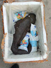 从都园顺丰包邮娃娃鱼活体生鲜大鲵海鲜水产鲜活淡水鱼肉质鲜美3-18斤 一条16斤 实拍图