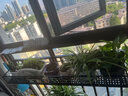 艺丽佳思阳台护栏杆壁挂多功能悬挂式花盆架子室内外多肉吊蓝窗台置物花架 120*20*12cm 黑色 实拍图