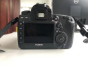 佳能（Canon） 5d4 Mark IV专业级全画幅高级单反摄影像照相机 5D4 EF24-105 USM套机拆 标配 晒单实拍图