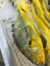 三都港 冷冻三去大黄鱼700g/2条装 黄花鱼 深海鱼 生鲜 鱼类 海鲜水产 晒单实拍图