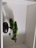 朴记 仿真绿植发财树迎客松盆景小摆件客厅酒柜茶艺假花盆栽装饰品 松仔盆景摆件-大美叶 实拍图