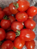 京鲜生 千禧圣女果 小西红柿樱桃番茄 500g装 生鲜水果 实拍图