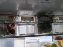 家の物语（KATEI STORY）计时保鲜盒大容量冰箱收纳盒食品级水果鸡蛋收纳盒冷冻密封储物盒 冰箱保鲜盒淡茶色 4件套 7L 晒单实拍图