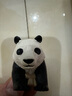 多美（TAKARA TOMY）多美卡安利亚仿真动物模型关节可动陆地动物男女孩儿童玩具 【AS-03】大熊猫 487937 实拍图