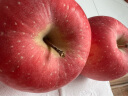 洛川苹果 青怡陕西红富士净重3.75kg 单果210g起 新鲜水果礼盒 实拍图