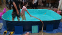 西哈泳士免充气折叠儿童游泳池家用室外小孩婴儿游泳桶成人大型户外支架 3米【入门套餐】免充气泳池 实拍图