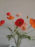 掬涵仿真花假花插花冰岛虞美人罂粟花婚庆节日装饰客厅卧室餐桌花清新 粉色单只（长56cm） 实拍图