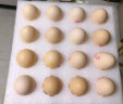 德青源PLUS联名款A+级鲜鸡蛋32枚1.37kg 无抗生素 节日礼盒装 实拍图