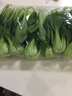 油菜 上海青 小油菜小青菜 新鲜蔬菜500g 禾人 500g装 实拍图