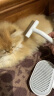 aumuca猫梳子宠物猫毛狗毛梳子祛浮毛神器猫咪梳子长毛猫刷宠物用品 祛毛套装A【经典白针梳+开结梳】 实拍图