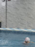 SWANS泳镜日本进口防水防雾高清泳帽套装男女士成人游泳眼镜大框潜水游泳装备FOX1-3+SA25-3黑白樱花 晒单实拍图