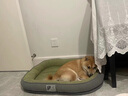KimPets宠物狗窝四季通用可拆洗狗床夏季狗垫子中小型犬狗狗夏天睡窝猫窝 升级珊瑚短毛绒【4D高回弹海绵】耐抓咬-绿色 M【50*40cm适合5斤内宠物】 实拍图