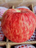 CAIFAN正宗山东烟台红富士苹果新鲜大果含箱10斤栖霞特产中秋水果礼盒 晒单实拍图
