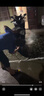 绿田（LUTIAN）高压洗车机瓦力悟空家用清洗机洗车泵刷车泵洗车神器洗车水枪220V 1500W 滚轮延长版-14米出水+壶+洗车液 实拍图