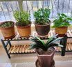 木都居 阳台花架铁艺花架绿萝多肉花盆架置物架实木多层架阳台盆架多功能 长80*宽22*高42（单个） 实拍图