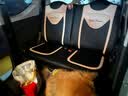 卡客（Karcle）五菱宏光mini座套四门版马卡龙三四五代miniev座椅套全包迷你坐垫 【20-23款一代/二代-夹心款】黑桃粉-标准版 实拍图