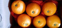 秭归脐橙伦晚脐橙 新鲜爆汁 应季水果 橙子 净重5斤 果径70mm+ 源头直发 晒单实拍图