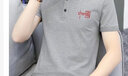 锡元T恤男2022夏季新款修身商务翻领半袖体恤国潮男士短袖T恤 灰色 XL 105-115斤 实拍图