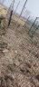 塑料网围栏网养殖网养鸡围栏网果园菜园围栏网格防护隔离栅栏围网 1米高25米长送扎带 3.5厘米孔1.8毫米厚 实拍图