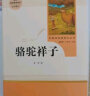 骆驼祥子+海底两万里 人教版 语文名著精选套装 七年级下 实拍图