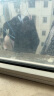海澜之家【零碳】男士内裤男50S莫代尔无痕5A抗菌透气平角四角短裤衩3条装 实拍图