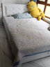 森香堡（SenXiangBao） 实木床现代简约软包床单人床家用欧式卧室婚床经济型双人主卧床 白色款裸床【送货上楼】 1500mm*2000mm 【加10CM床垫】 实拍图
