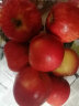 京鲜生 新西兰进口苹果 一级加力果12粒装 单果约160-190g 生鲜水果 晒单实拍图