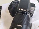 佳能/Canon 600D 700D 750D 760D 800D 850D二手单反相机新手入门旅游高清相机 750D【单机】 99新 实拍图