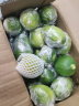 粤品【香水柠檬】广东香水柠檬 无籽海南香水青柠檬奶茶店专用 广东香水柠檬3斤 实拍图