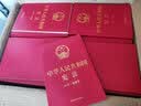 2026年适用 中华人民共和国宪法（大字·宣誓版）（32开）批量采购专线400-026-0000 实拍图