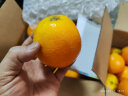 京鲜生 当季鲜橙  3kg装 单果170-220g 新鲜水果 实拍图