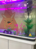 闽江（minjiang）鱼缸水族箱家用屏风生态造景中大型金龙鱼缸客厅免换水鱼缸 纯洁白色（养鱼礼包+造景礼包+升级过滤） 长120.6*宽36.7*高139(缸体+底柜) 实拍图