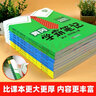 【年级版本可选】2026新版课堂笔记1-6年级下册上册小学语文数学英语全套人教版北师大版外研版3起点新版课本同步知识教材解读课堂学霸笔记升级版 【1本】语文（人教版） 三年级 下册（26春） 实拍图