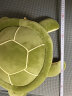 吉娅乔(Ghiaccio)乌龟毛绒玩具海龟大眼龟软体羽绒棉乌龟公仔靠枕趴枕送女友礼物 海龟 55CM 晒单实拍图