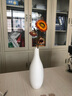 木子西年 日式陶瓷花瓶摆件素烧小号一枝花插干花假花仿真花绿萝水培花器 【款式一】函萱花瓶(不含花-高约20厘米) 实拍图