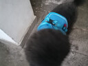 SLPC狗狗胸背带牵引绳小型犬泰迪背心式遛狗绳反光透气小狗背带狗绳子 蓝色 L（适合10-14斤） 实拍图