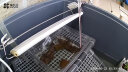 易萌 乌龟缸 乌龟生态缸 带晒台 养龟专用缸 巴西龟专用缸乌龟养殖箱  晒单实拍图