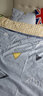 雅鹿单人双人床上用品被子被芯+四件套+枕芯被褥全套装褥子学生宿舍 等待 1.8m 床单款 【褥子+七件套6斤被芯】 实拍图