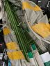 生长魔励植物爬藤花架阳台花盆攀爬支柱花卉固定支撑防倒蟹爪兰铁线莲支架 4圆环支柱-120cm（2个起发货） 实拍图