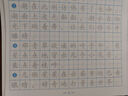 【图书】优美句子积累字帖大全小学生专用每日成语高频字练字帖每日一练好词好句好段正楷写字一二三年级四五六语文钢笔楷书练习硬笔书法练字本幼小衔接临摹描红练字帖 练字帖《优美句子》随机3本 实拍图