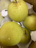 富祺元河北赵州赵县雪花梨新鲜水果冰糖雪梨煲汤秋梨膏脆甜多汁梨子 精品雪花梨 9斤装 实拍图