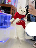 华元宠具（hoopet）猫咪衣服春节过年毛衣秋冬保暖冬季猫衣服防掉毛宠物新年国潮棉衣 【新年】老头毛衣（偏大） S：胸围35cm【建议3-5斤】 实拍图