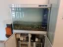 森森（SUNSUN）鱼缸水族箱含鱼缸客厅大型玻璃缸办公室龙鱼生态缸自循环水族箱 时尚款底滤1.0m长 36宽 靠墙(黑白灰) 实拍图