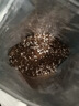 德沃多 多肉营养土2L 有机多肉土多肉植物种植专用泥炭土花土拌土颗粒基质花盆土 实拍图
