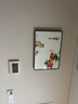 柳莺花燕免打孔电表箱装饰画现代简约客厅餐厅挂画电闸箱配电箱遮挡壁画 事事如意 60X40遮挡50X30表箱 上掀款 实拍图