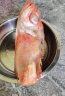 鲜拔头筹 红石斑鱼 大眼鱼富贵鱼深海鱼生鲜鱼类 海鲜水产 3斤3条 实拍图
