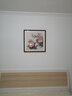 紫腾随轩新中式牡丹花开富贵装饰画客厅餐厅背景墙画卧室床头挂画壁画 图19 60*60cm红木色实木框 实拍图
