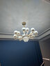 韵钰欧式吊灯客厅灯奢华水晶灯现代简欧网红餐厅卧室灯具套餐三室两厅 花开富贵12头-配全光谱三色光源 实拍图
